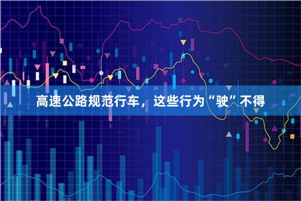 高速公路规范行车,这些行为“驶”不得